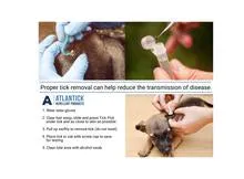Atlantick TickPick®