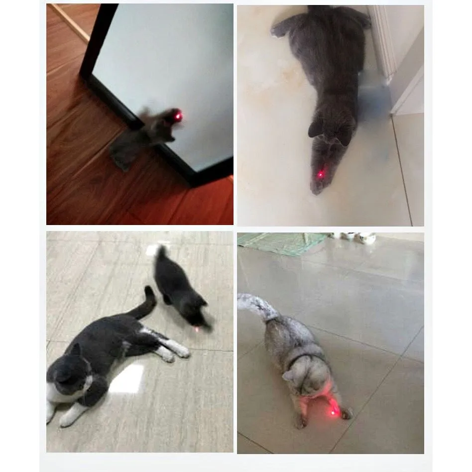 Cat Laser Pointer Interactive Toy