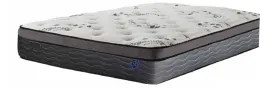 Century 12" Euro Top Mattress 🍁
