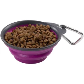 Dexas Pets Collapsible Travel Cup Small/1 Cup Fuchsia