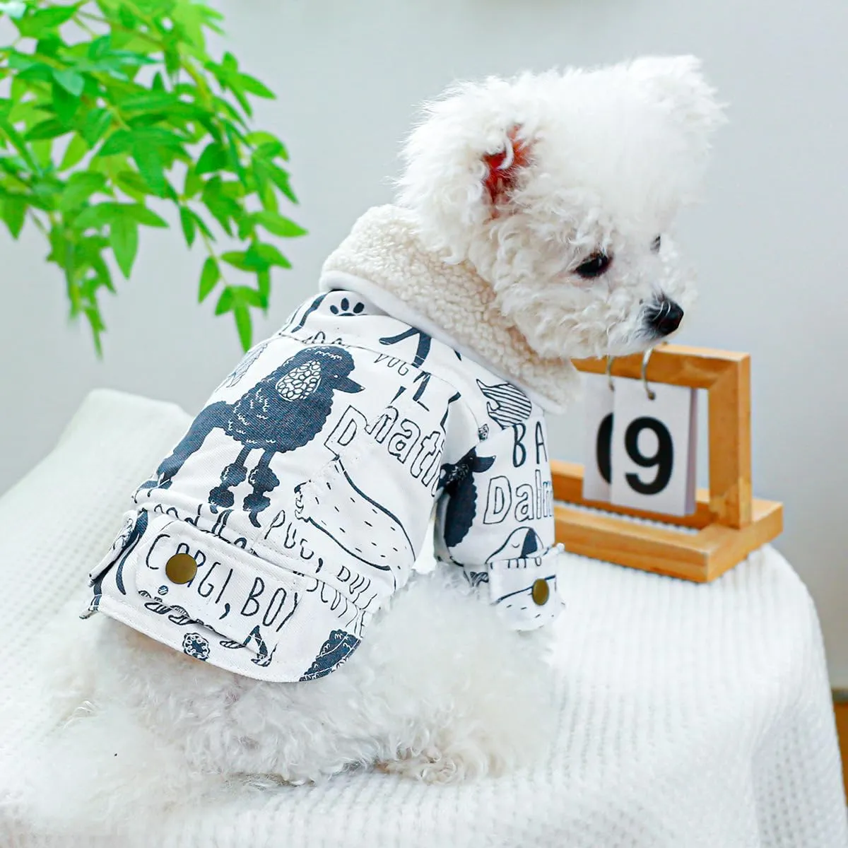 Dog Fleece Lined Jean Jacket Winter Puppy Stylish Cute Clothes Lightweight Warm Small Dog Denim Coat Chihuahua Yorkie Thick Jacket Christmas Holiday Birthday Dog Clothes for Small Dogs