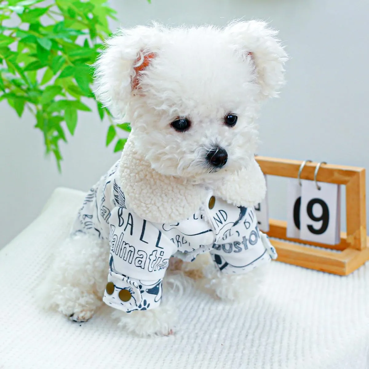 Dog Fleece Lined Jean Jacket Winter Puppy Stylish Cute Clothes Lightweight Warm Small Dog Denim Coat Chihuahua Yorkie Thick Jacket Christmas Holiday Birthday Dog Clothes for Small Dogs