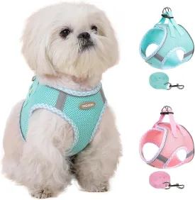Dog Harness and Leash Set, Mesh Male and Female Extra Small Dogs Vest Collars, Adjustable No-Pull Pet Cat Chest Harnesses with Leashes, Medium Running Gear for Large Puppies, S Size Green