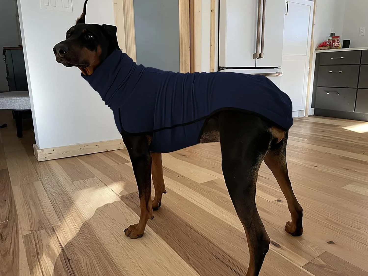 Esobo Fleece Dog Apparel Winter Warm Dog Coat Doggie Turtleneck Cozy Jacket Soft Shirt Vest Stylish Pet Outfits for Small Medium Large Dogs