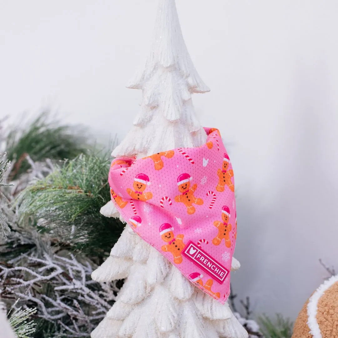 Frenchie Cooling Bandana - Gingerbread- Pink