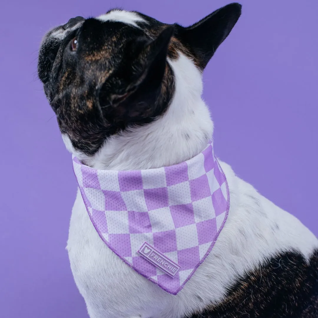 Frenchie Cooling Bandana - Lavender