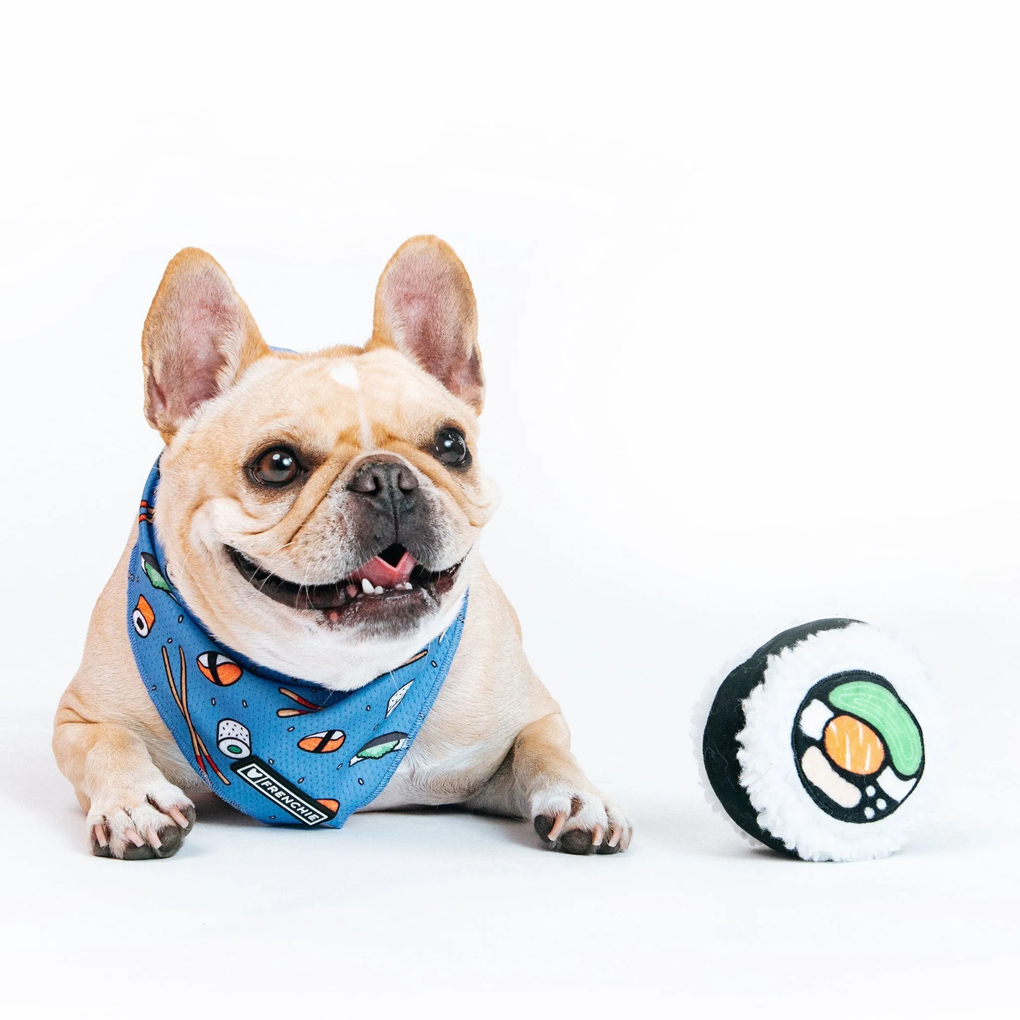 Frenchie Cooling Bandana - Sushi