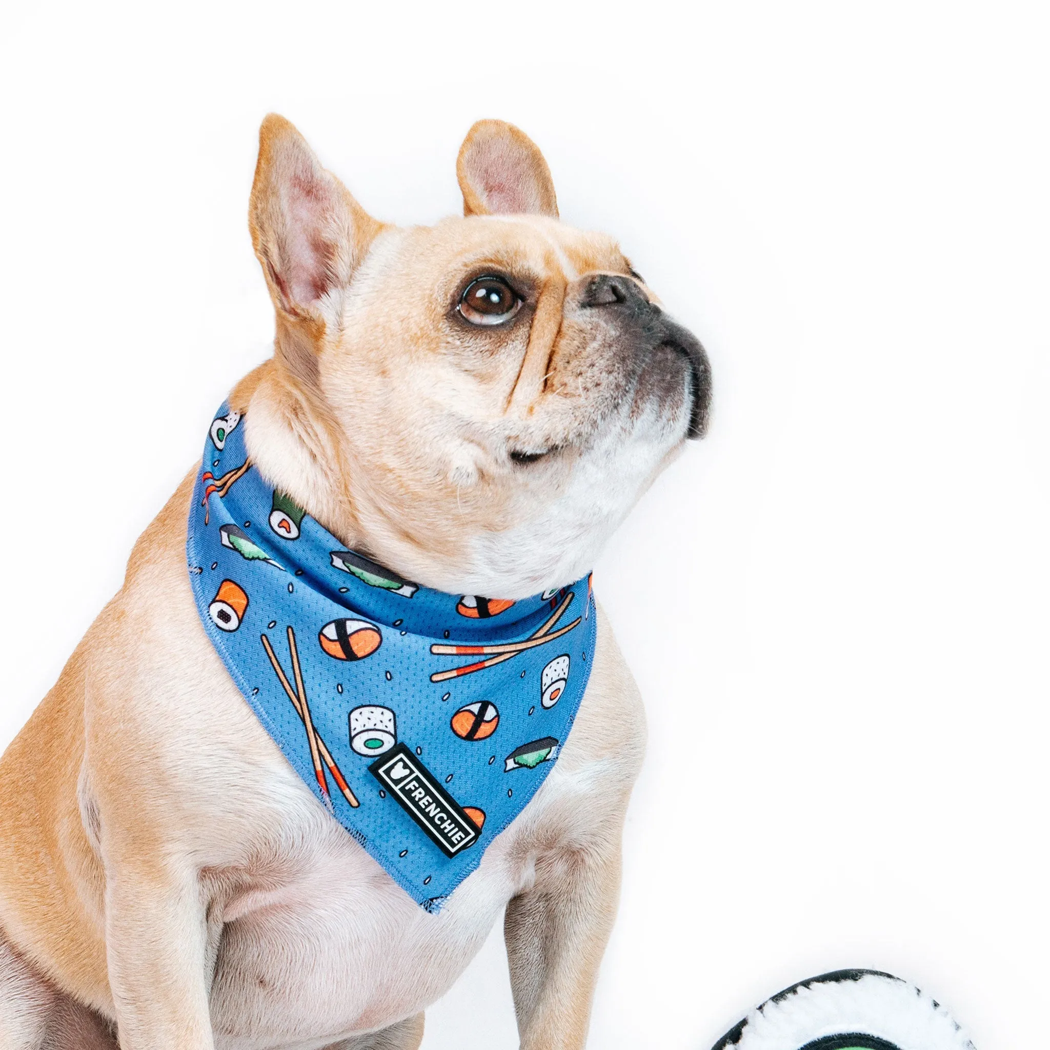 Frenchie Cooling Bandana - Sushi