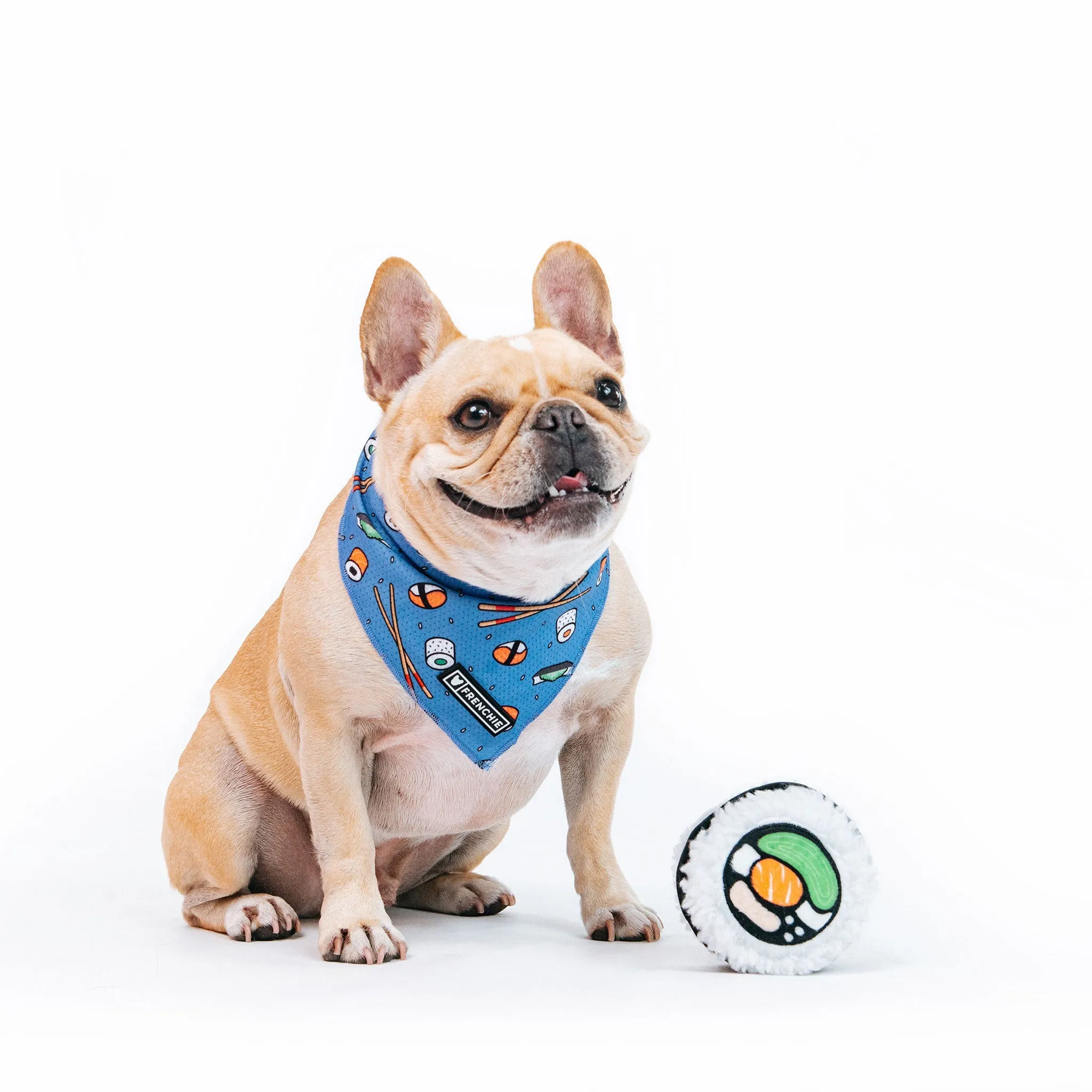Frenchie Cooling Bandana - Sushi