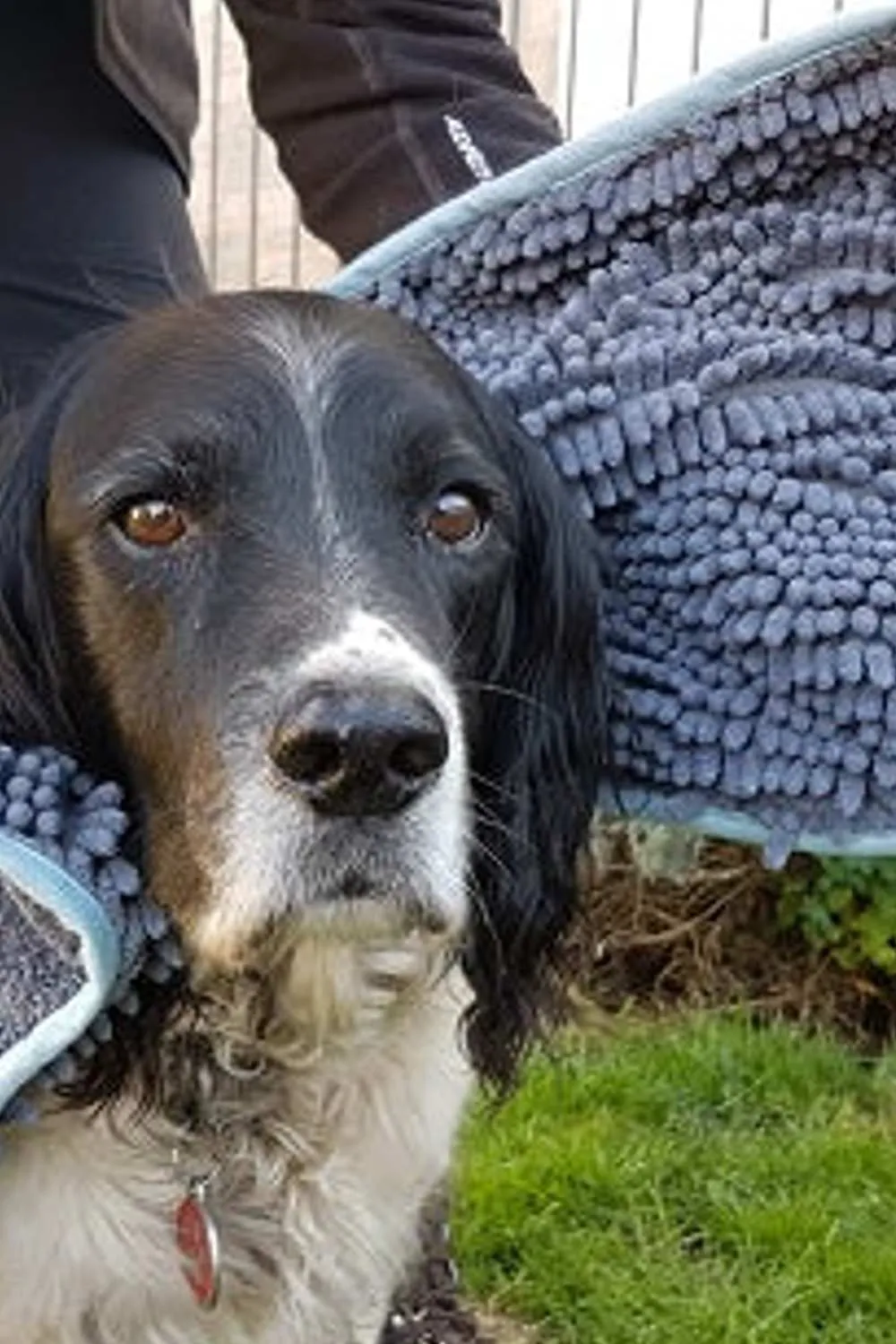 Henry Wag Microfibre Glove Towel