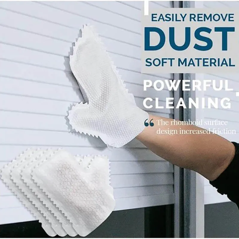 Home Dust Removal Gloves