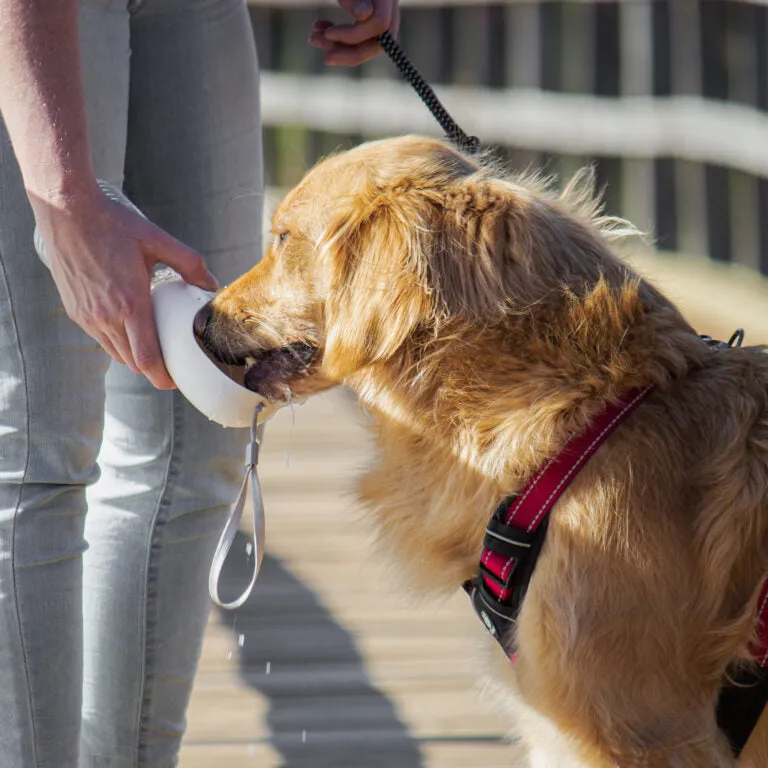 Huskimo Water Bottle with Food Storage 380ml^^^