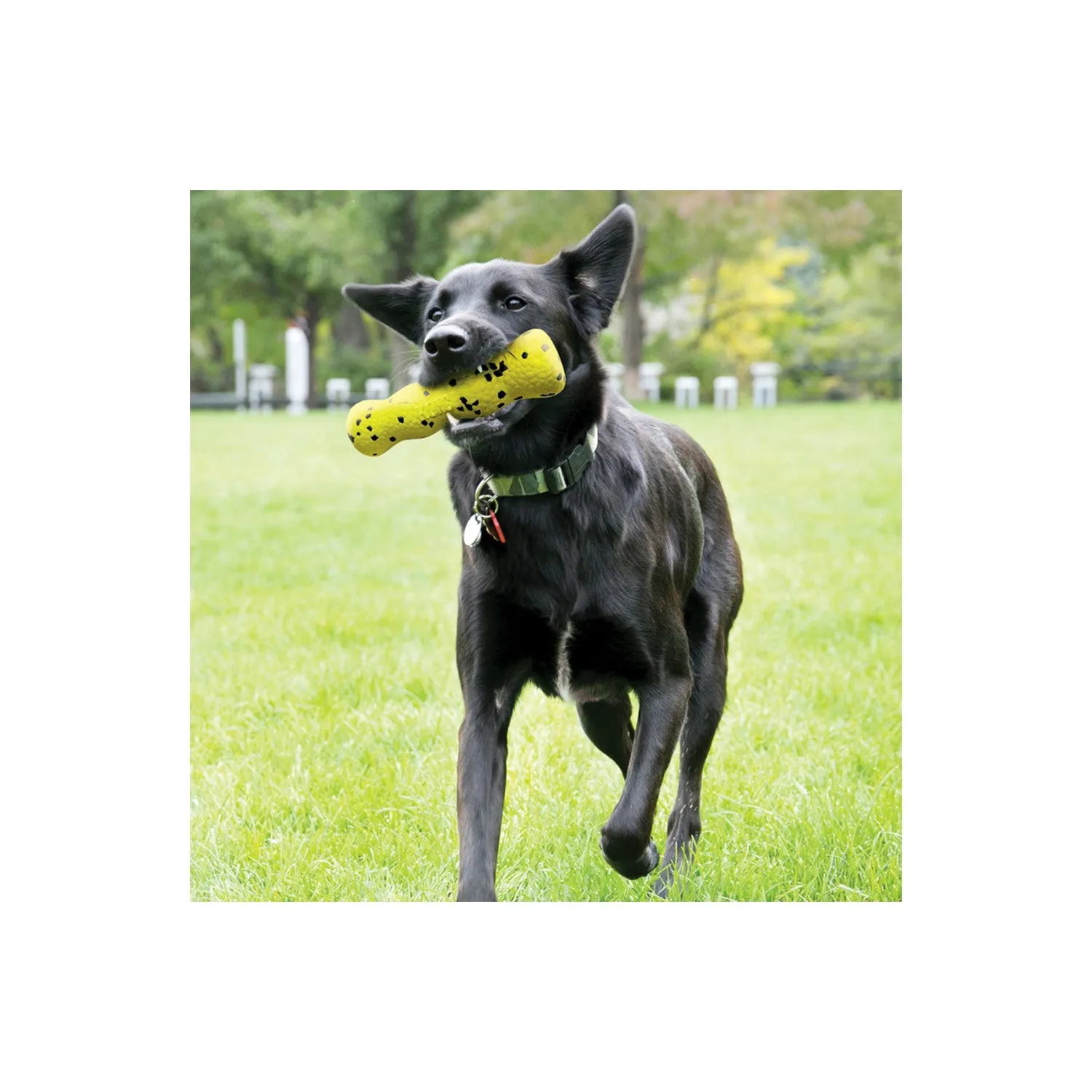 KONG DOG REFLEX STICK TOY MEDIUM