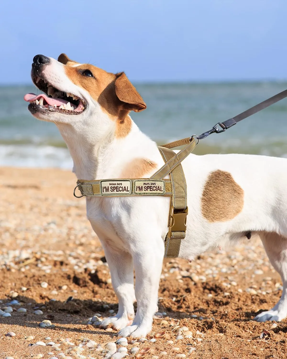 No Pull Dog Harness for Medium Large Dogs, Reflective Escape Proof Adjustable No Pulling Harnesses Brown L