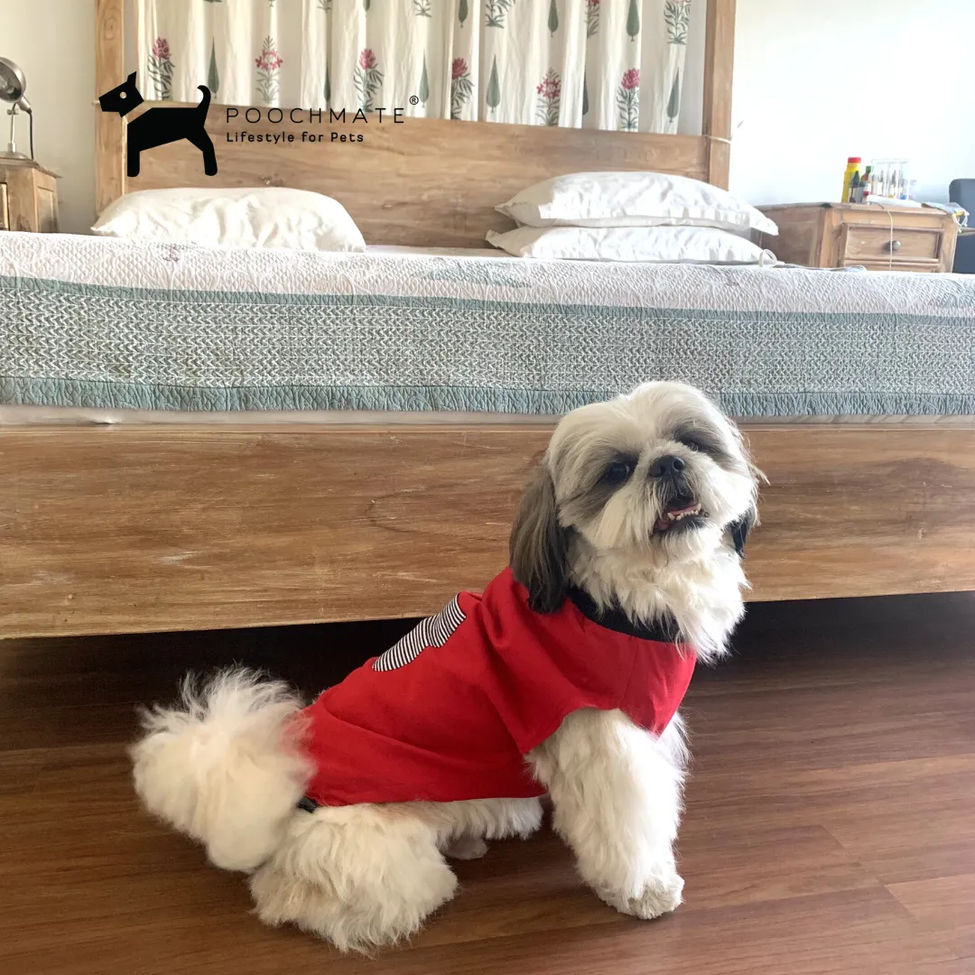 PoochMate Red Cotton Dog T-Shirt with Pocket