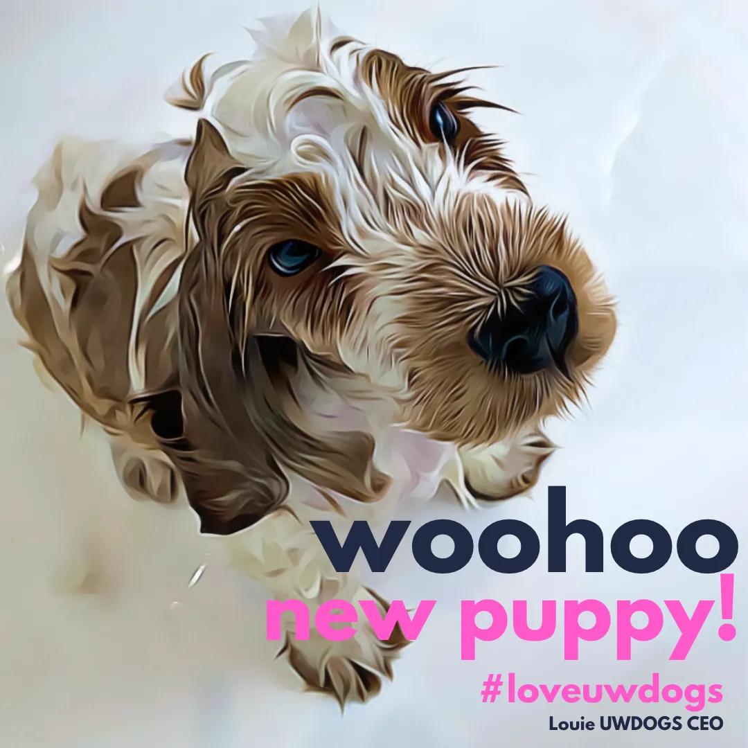 Puppy Combo 250ml