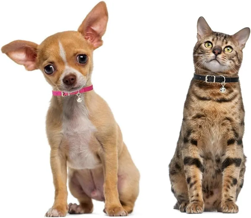 Purple XXS Dog Bell Collar, Faux Leather Kitten Collar with Bells Pu Basic Boy Dog Collars for XXS XSmall Small Medium Pet Male Dogs Little Cats Tiny Animal, XXSmall