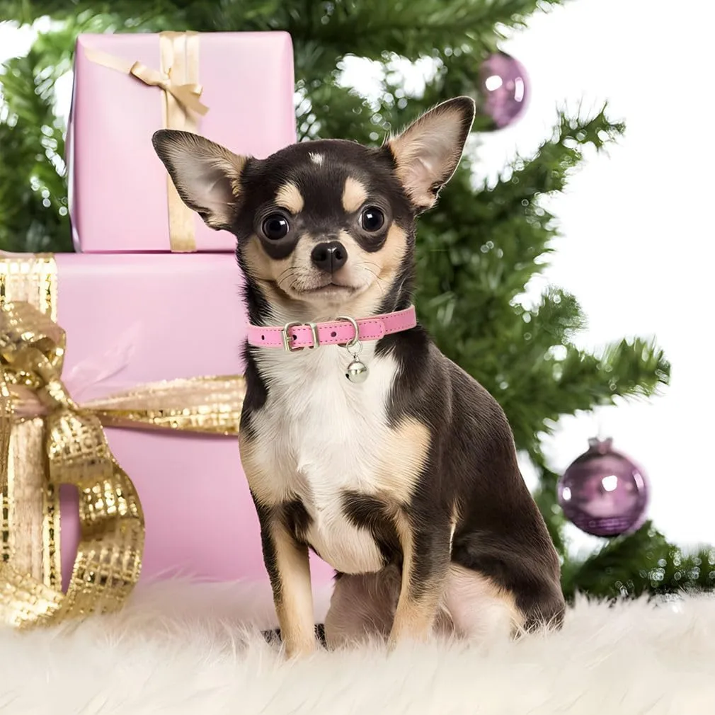Purple XXS Dog Bell Collar, Faux Leather Kitten Collar with Bells Pu Basic Boy Dog Collars for XXS XSmall Small Medium Pet Male Dogs Little Cats Tiny Animal, XXSmall
