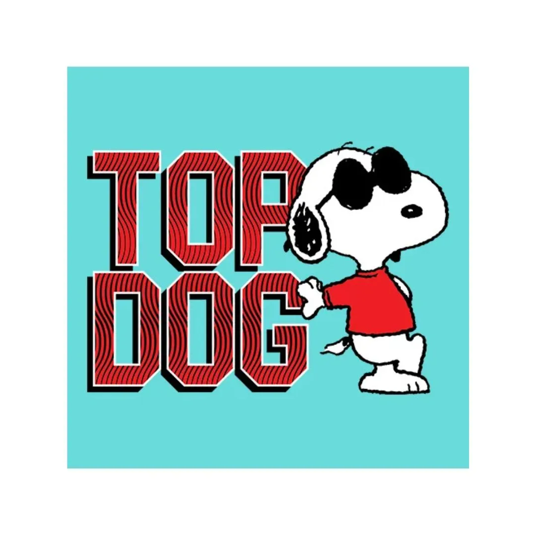 Snoopy Top Dog T Shirt