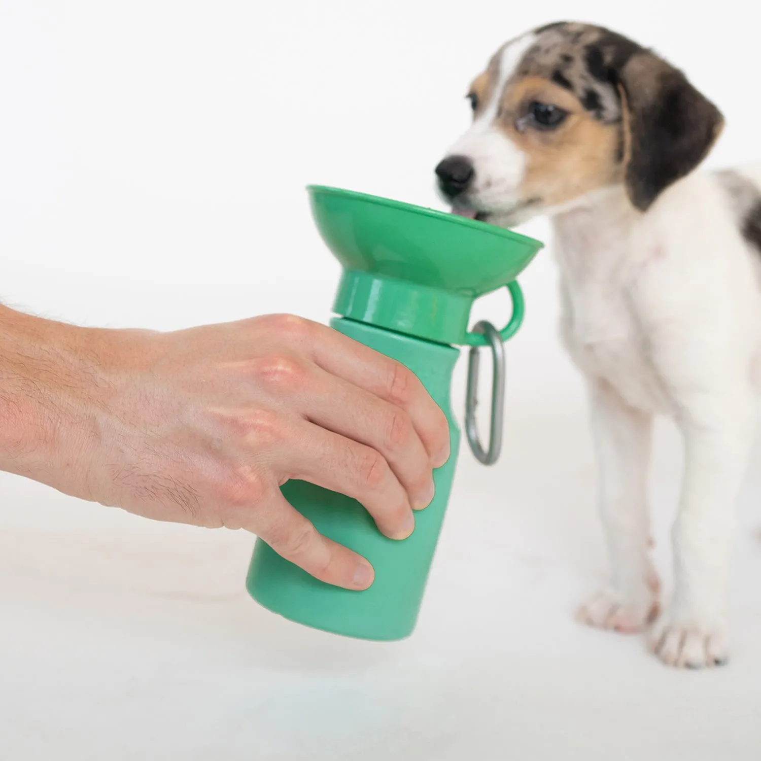 springer mini travel bottle - green