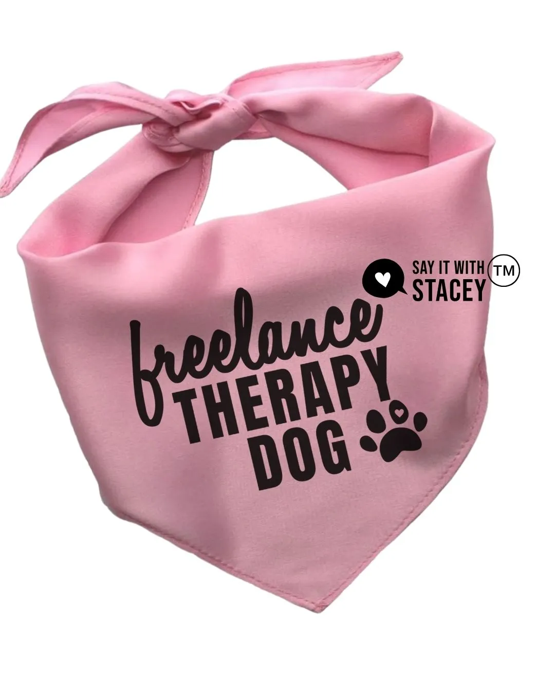 The Kindness Conversation Pet Bandana 2024