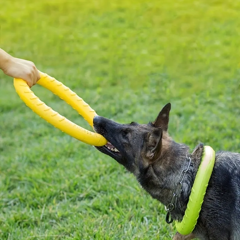 Ultimate Durable Dog Flying Disc Perfect for Aggressive Chewers
