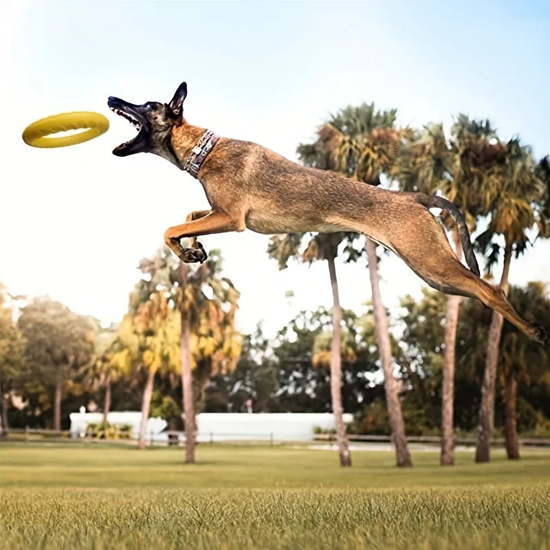 Ultimate Durable Dog Flying Disc Perfect for Aggressive Chewers