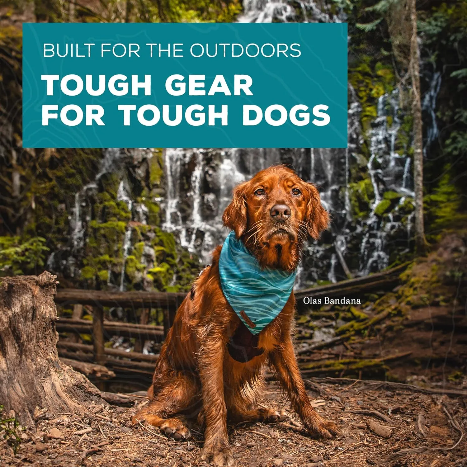 Wilderdog Dog Bandana with Lightweight Quick Drying Poly-Blend Mesh Material in Rainbow